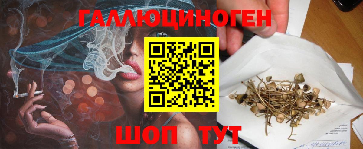 Псилоцибиновые грибы Magic Shrooms Богородск