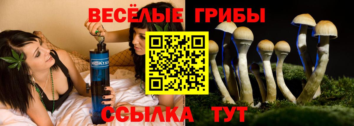Богородск  Галлюциногенные грибы прущие грибы  Вход с VPN 